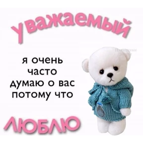 Котики — стикер для MAX