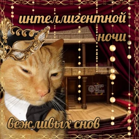 Котики — стикер для MAX