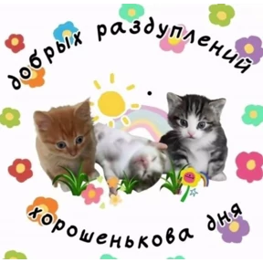 Котики — стикер для MAX