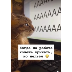 Мои 3 — стикер для MAX