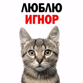 Мои 3 — стикер для MAX