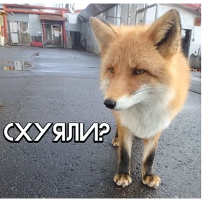 Мой наборчик — стикер для MAX