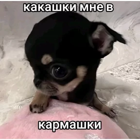 Мой наборчик — стикер для MAX