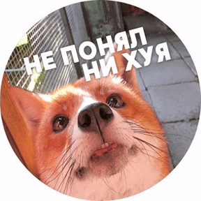Мой наборчик — стикер для MAX