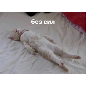 Стикерпук — стикер для MAX