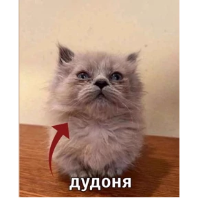 Mega ultra — стикер для MAX