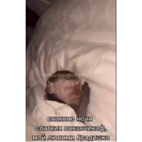 Бибизян — стикер для MAX