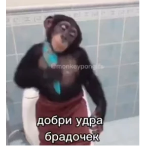Бибизян — стикер для MAX
