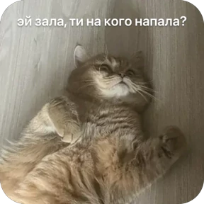 Булосьная полисия — стикер для MAX