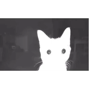 Mega ultra — стикер для MAX