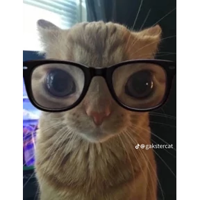 Mega ultra — стикер для MAX