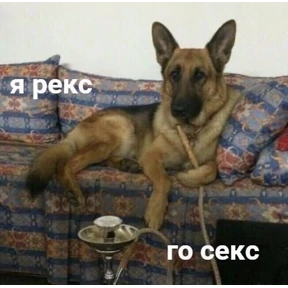Дюшеска — стикер для MAX