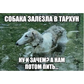 Нормальные стикеры в MAX — стикер для MAX