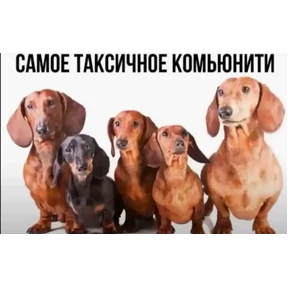 Нормальные стикеры в MAX — стикер для MAX