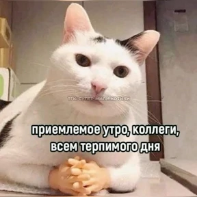 Работу работаю — стикер для MAX