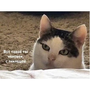 Работу работаю — стикер для MAX