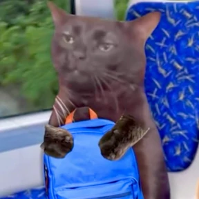 Котечки — стикер для MAX