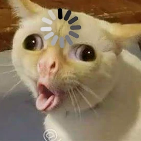 Котечки — стикер для MAX