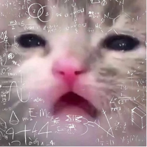 Котечки — стикер для MAX