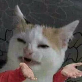 Котечки — стикер для MAX