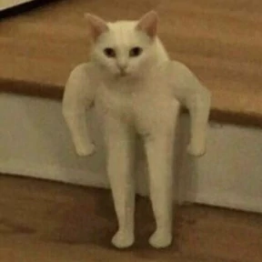 Котечки — стикер для MAX