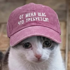 work — стикер для MAX