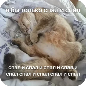 Булосьная полисия — стикер для MAX