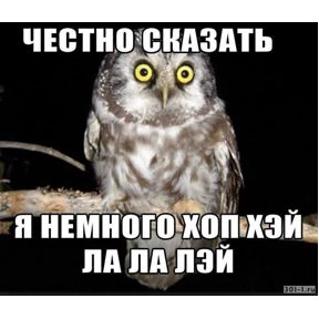 Совиный бунт — стикер для MAX