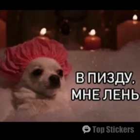 На случай важных переговоров — стикер для MAX