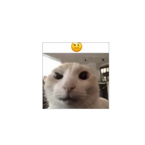 miumiu gafgaf — стикер для MAX