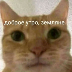 Memes 1 — стикер для MAX