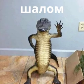 Memes 1 — стикер для MAX