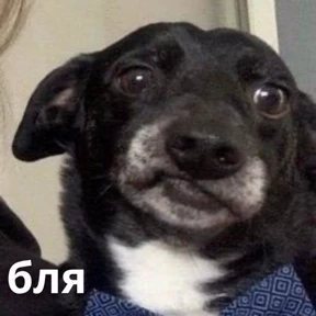 Memes 1 — стикер для MAX