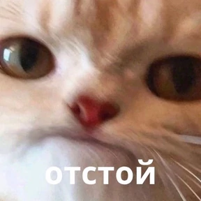 Memes 1 — стикер для MAX