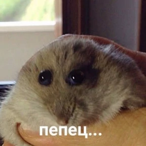 Memes 1 — стикер для MAX