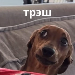 Memes 1 — стикер для MAX