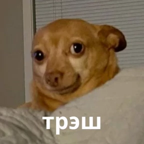 Memes 1 — стикер для MAX