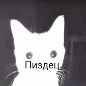 Memes 1 — стикер для MAX