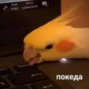 Memes 1 — стикер для MAX