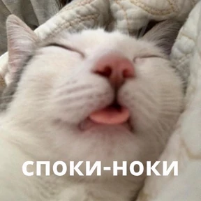 Memes 1 — стикер для MAX