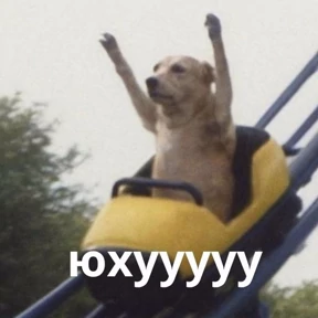 Memes 1 — стикер для MAX