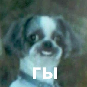 Memes 1 — стикер для MAX