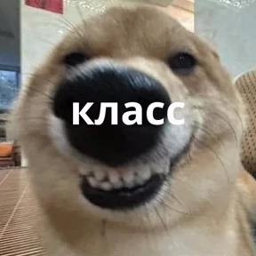 Memes 1 — стикер для MAX