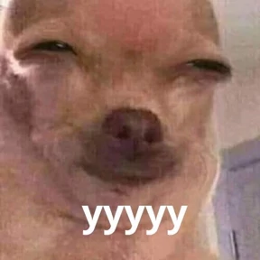 Memes 1 — стикер для MAX