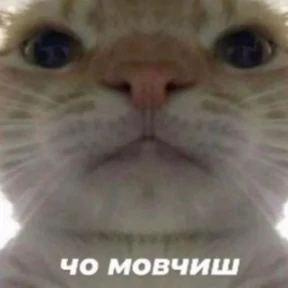 Memes 1 — стикер для MAX