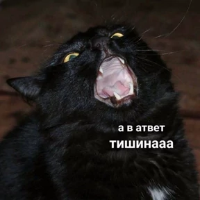 Memes 1 — стикер для MAX