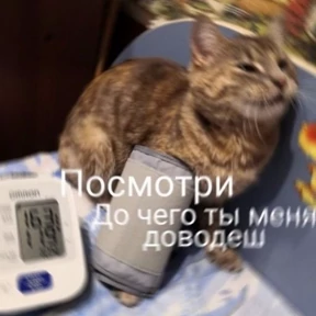 Memes 1 — стикер для MAX