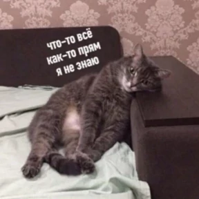 Memes 1 — стикер для MAX