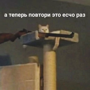 Memes 1 — стикер для MAX