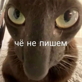 Memes 1 — стикер для MAX